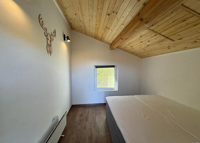 Mountain Ship Villa Dedovo