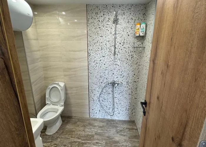 Mountain Ship * Dedovo